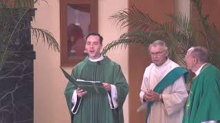 St Petronille LiveStream Mass Sunday November 9 2024 930 Thirty Second Sunday in Ordinary Time [upl. by Gorlin]