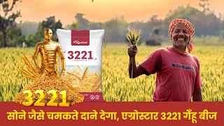 एग्रोस्टार 3221 गेँहू बीज चुनिए शानदार उपज पाएं agrostar wheat gehu [upl. by Inol24]