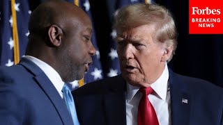 JUST IN Tim Scott Calls For Prayer In Wake Of Assassination Attempt On Trump [upl. by Adnoloy199]