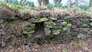 Coldoch Broch [upl. by Ellerad]