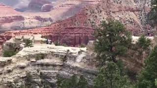 Onlookers scream as woman falls to her death at the Grand Canyon [upl. by Stefa]