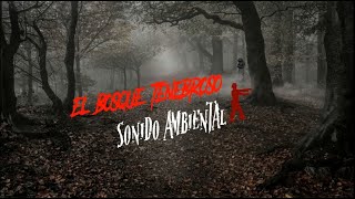 EL BOSQUE TENEBROSO SONIDO AMBIENTAL [upl. by Lleynad974]