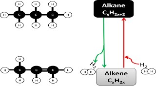 Conversions between alkanes and alkenes [upl. by Hussein]