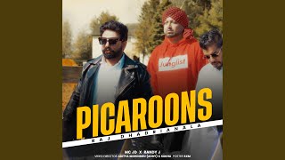 PICAROONS [upl. by Chance]