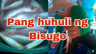 Isdang Bisugo  Pang huhuli fishing fishing fishingvideo viralvideo fish [upl. by Pish635]