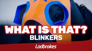 What Is That – Blinkers amp Winkers [upl. by Lady]