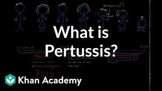 What is pertussis  Respiratory system diseases  NCLEXRN  Khan Academy [upl. by Gnouh457]