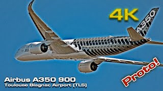 Airbus A350 900 Proto Carbon Livery FWWCF Flight Test [upl. by Kaspar]