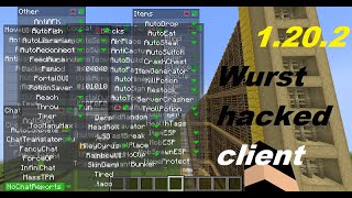 How to get the Wurst Hacked client for 1202 [upl. by Nohsyt773]