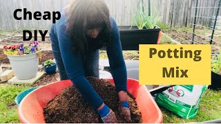 How to Make DIY Cheap Potting Mix Do This Instead [upl. by Wemolohtrab]