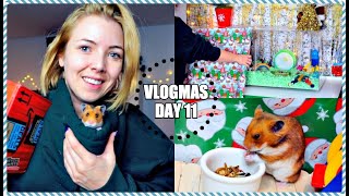 DECORATING HAMSTER CAGES  SYRIAN HAMSTER FUN  Vlogmas [upl. by Itsyrc]