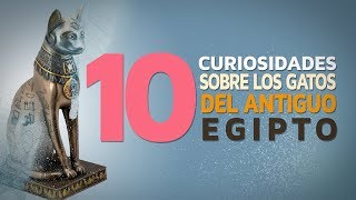 10 Curiosidades sobre los gatos en el Antiguo Egipto 😸 [upl. by Lenhard721]