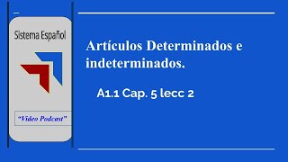 Articulos definidos e indefinidos en español [upl. by Akived190]