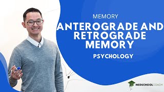 Anterograde and Retrograde Memory [upl. by Nospmoht]