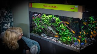 ATTRACTIVE AQUARIUM LIGHTING UPGRADES 4K [upl. by Pettifer]