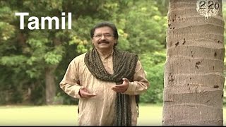 Jollee Abraham  Eanakku Othasai  எனக்கு ஒத்தாசை  Tamil Christian Song Official [upl. by Harriette926]