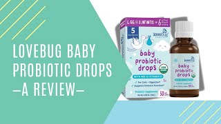 Lovebug Probiotic Review  Baby Probiotic Drops [upl. by Lydell]