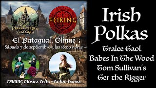 Irish Polkas Tralee Gaol–Babes In The Wood–Tom Sullivans–Ger the Rigger [upl. by Auhel29]