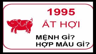 Ất Hợi sinh năm 1995 mệnh gì cung gì tuổi con gì [upl. by Naveb]