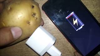 How to make mobile charger without electricity Potato Charger [upl. by Cohla157]