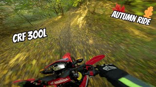 HONDA CRF 300L TRAIL RIDING  POV 4K [upl. by Suaeddaht]