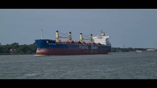 Bulk carrier quotChiloe islandquot [upl. by Evod514]