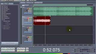 How to use Antares Autotune EVO and EFX mastering and autotune settings too [upl. by Skurnik]