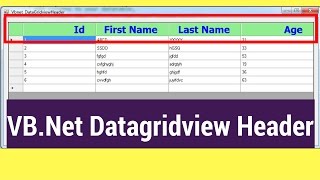 VBNet Datagridview Header Using Visual Studio  with source code [upl. by Cayla414]