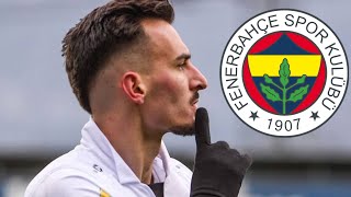 Mergim Berisha ● Welcome to Fenerbahçe ● Goals  Passes  Skills 2020  HD [upl. by Tennek]