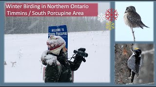 Winter Birding in the Timmins  South Porcupine Area [upl. by Eiknarf657]