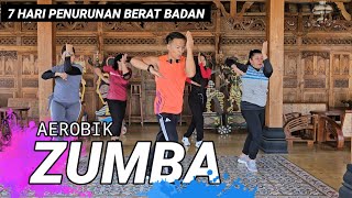 AEROBIK ZUMBA PENURUNAN BERAT BADAN  GERAKAN MUDAH BIKIN GOBYOSS [upl. by Alexa264]