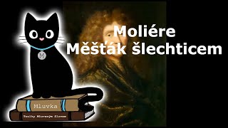 Moliére  Měšťák šlechticem Mluvené slovo SK [upl. by Mccreery]