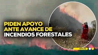 Incendios forestales en Amazonas arrasan ganado y cultivos de población CONEXIONRPP  ENTREVISTA [upl. by Fadiman908]