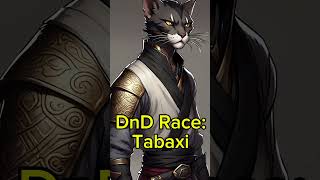 DnD Races Tabaxi dnd5e tabaxi cat catpeople dndrace dungeonsanddragons dndmonster fantasy [upl. by Camfort141]