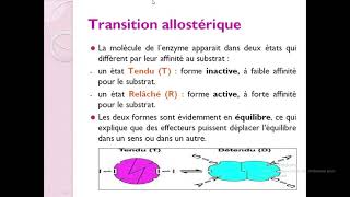 Biochimieبالعربية  3 Enzymologie  Part 4 La cinétique des Enzymes Allostériques [upl. by Raji880]