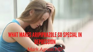 What Makes Aripiprazole So Unique In Depression  Mark Agresti [upl. by Adnerad]