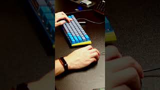 Gaming Keyboard Showdown Silver Switches vs Sexy World 1 [upl. by Dilahk21]