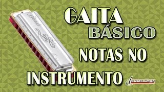 Aprenda Música  Aprenda Gaita  Básico  Notas no Instrumento [upl. by Smiley]