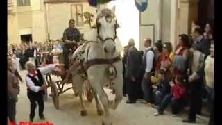 Il Ceto dei Cavallari  Festa del patrono SS Crocifisso di Calatafimi Segesta [upl. by Hanikehs]