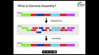 Fundamentals of Genome Assembly [upl. by Pasco]