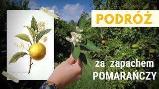 Walencja zimą i podróż za zapachem POMARAŃCZY 🍊🌴  Wędrowne Motyle [upl. by Idelson]