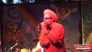 Brigadier Jerry at Sierra Nevada World Music Festival June 17 2011 whole show Village Stage [upl. by Aseral479]