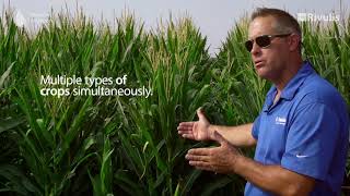 Benefits of Subsurface Drip irrigation on Corn  Rivulis USA [upl. by Athalia]