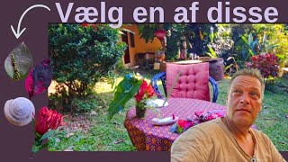 Med interaktiv og tidløs JANEJ Læsning Live Tarot nr 213 på dansk [upl. by Leontine]