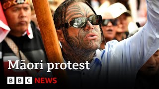 Thousands take part in Māori protests in New Zealands capital  BBC News [upl. by Dnaleel]