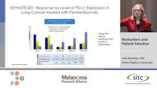 Immunotherapy Biomarkers and Patient Selection [upl. by Atikihc]