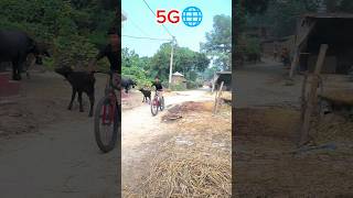 Cycle ride with stant so much your support viralvideo cycle bikeride cyclestunt trendingshorts [upl. by Elwood]