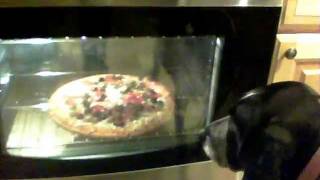 Bluetick Coonhound barking at pizza in the oven [upl. by Yasnyl]