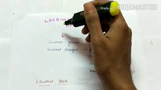 lacrimal apparatus  anatomy amp physiology  ophthalmology  English [upl. by Possing]