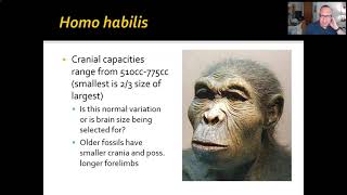 ANTHR 1Ch 1102 Homo habilis rudolfensis [upl. by Uria31]